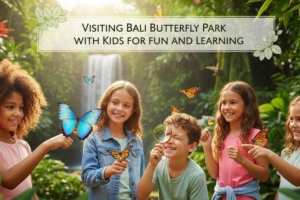Bali Butterfly Park