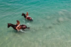 Outdoor Activities in Turks and Caicos